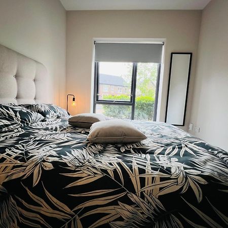 Private King Size Room In Well Decorated Shared Flat Dublin Exterior photo